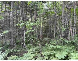 6 Lot 6 Butler Road Road, Forest Home, Ca