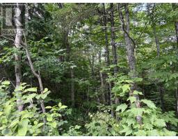 2 Lot 2 Butler Road Road, Forest Home, Ca