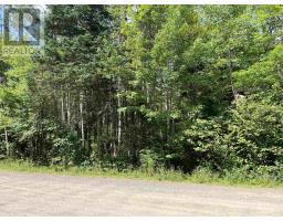 7 Lot 7 Butler Road Road, Forest Home, Ca