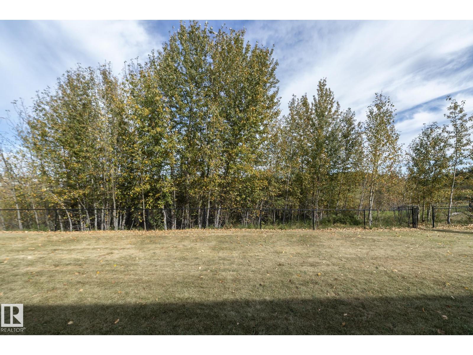 197 Birchwood Cl, Devon, Alberta  T9G 0A5 - Photo 70 - E4459381