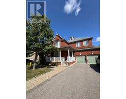 Basement - 38 Credo Drive, Vaughan (Vellore Village), Ca
