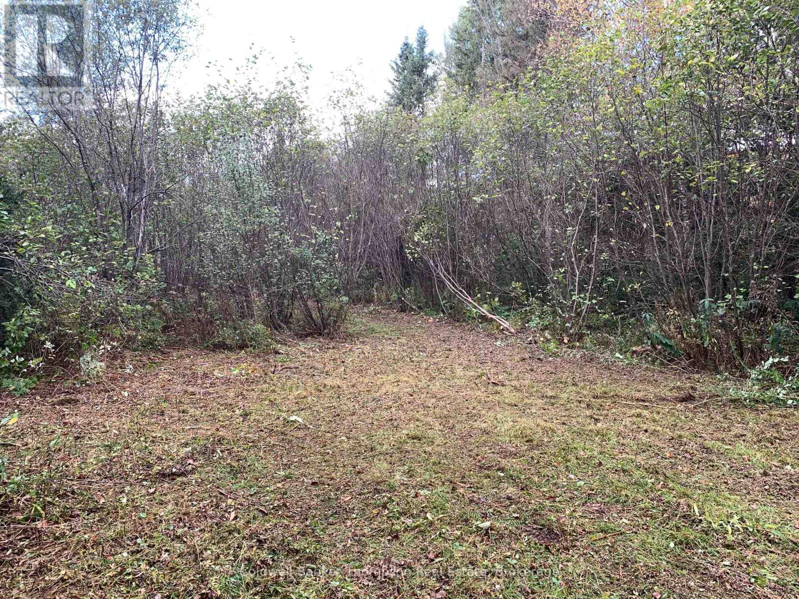 101 Proudfoot Road, Armour, Ontario  P0A 1Z0 - Photo 15 - X12425953