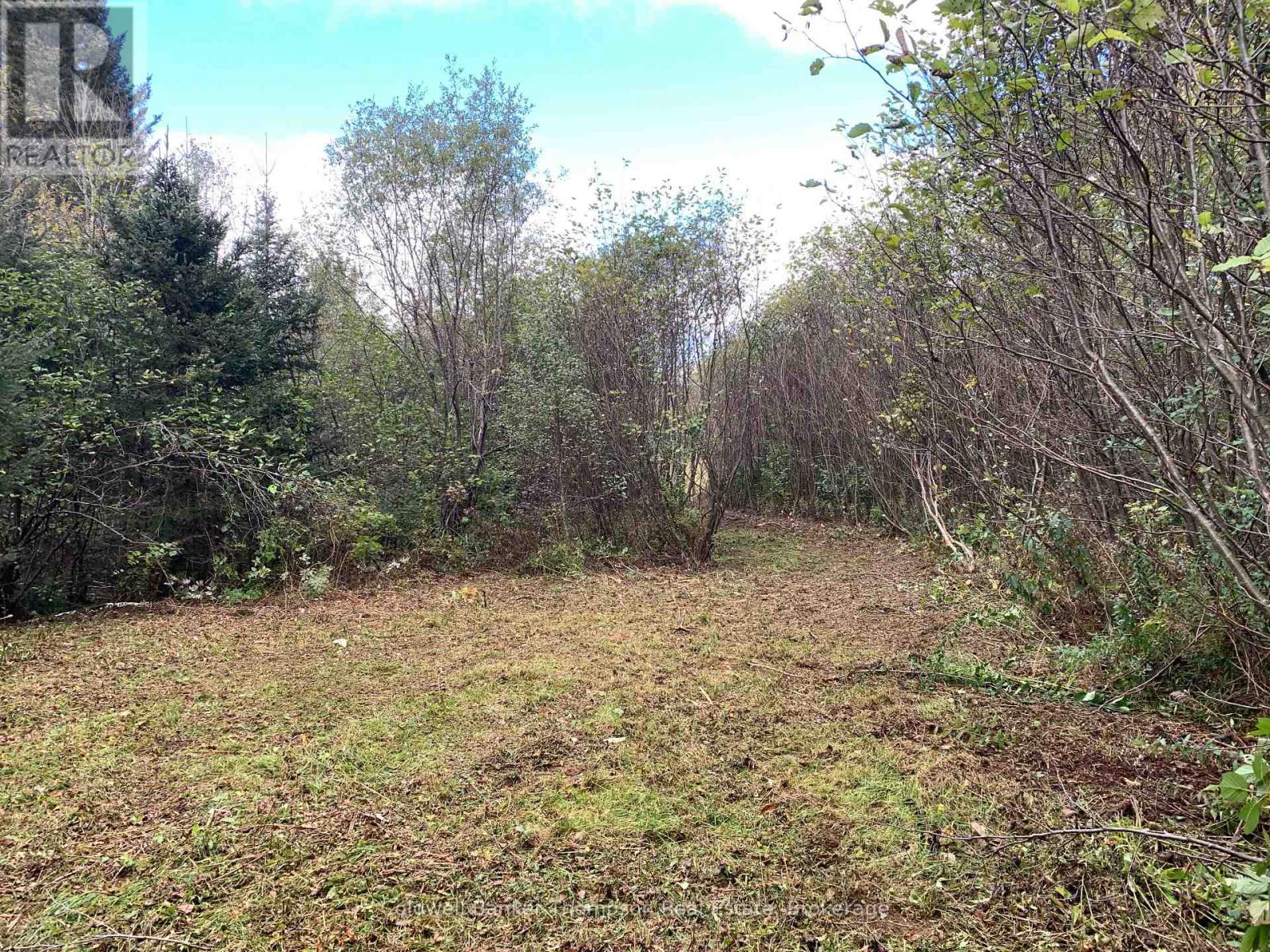 101 Proudfoot Road, Armour, Ontario  P0A 1Z0 - Photo 16 - X12425953