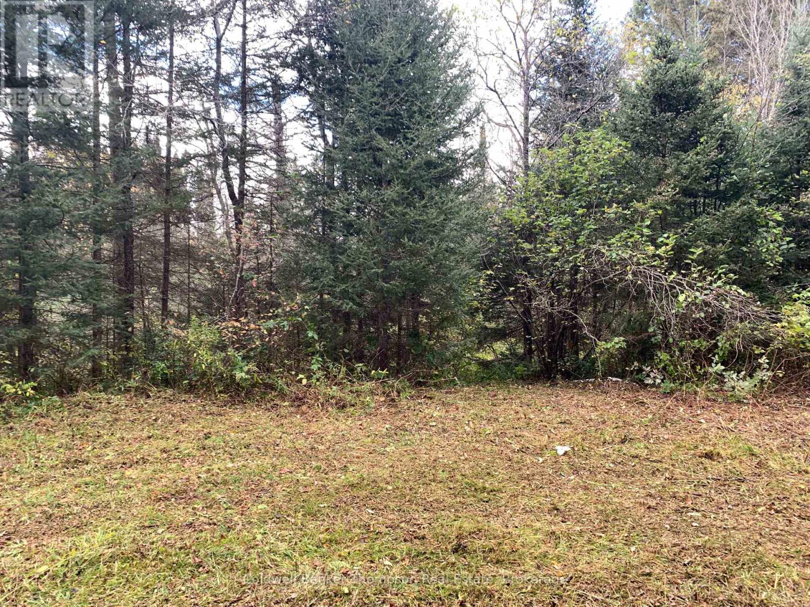 101 Proudfoot Road, Armour, Ontario  P0A 1Z0 - Photo 17 - X12425953