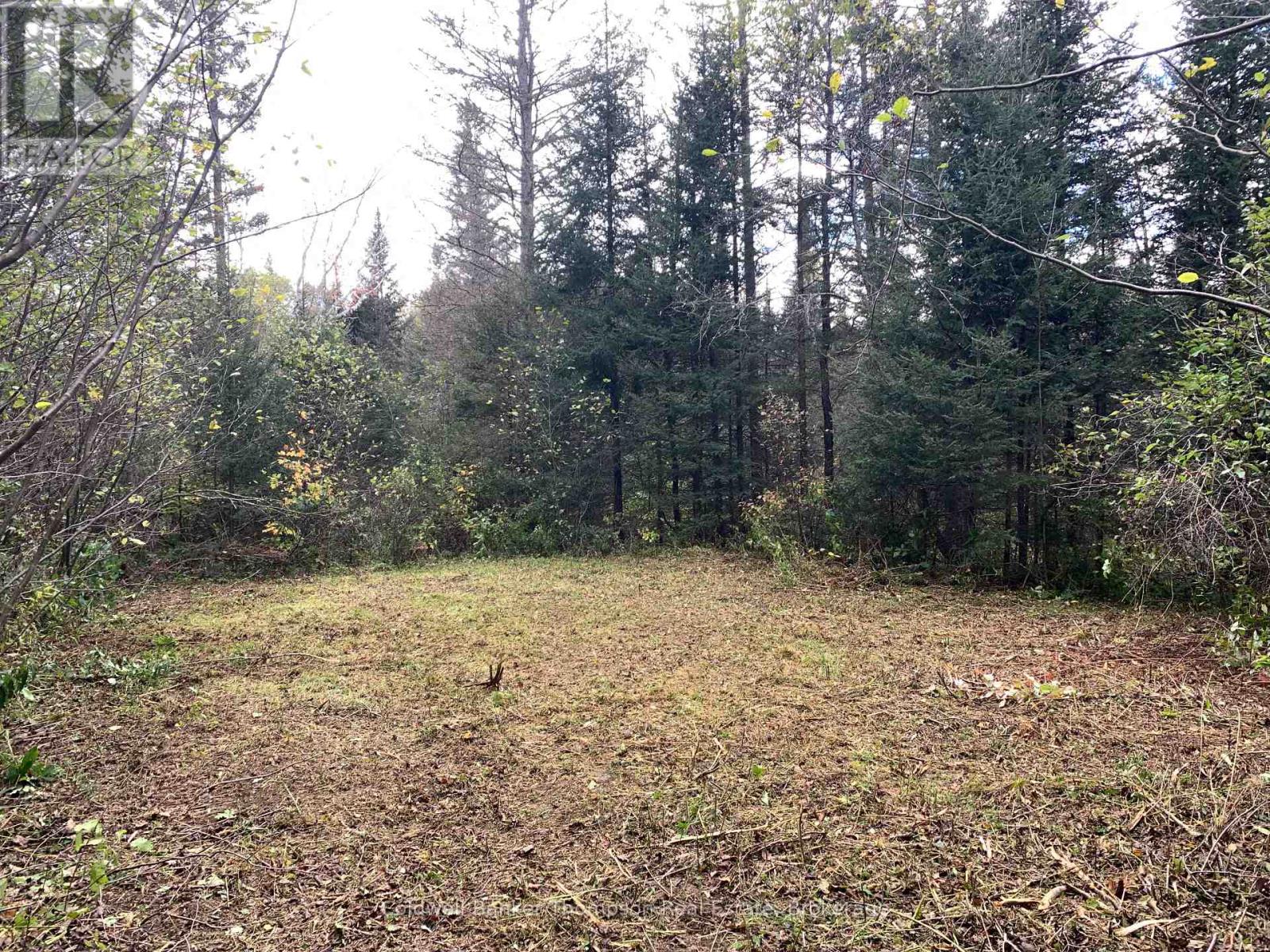 101 Proudfoot Road, Armour, Ontario  P0A 1Z0 - Photo 19 - X12425953