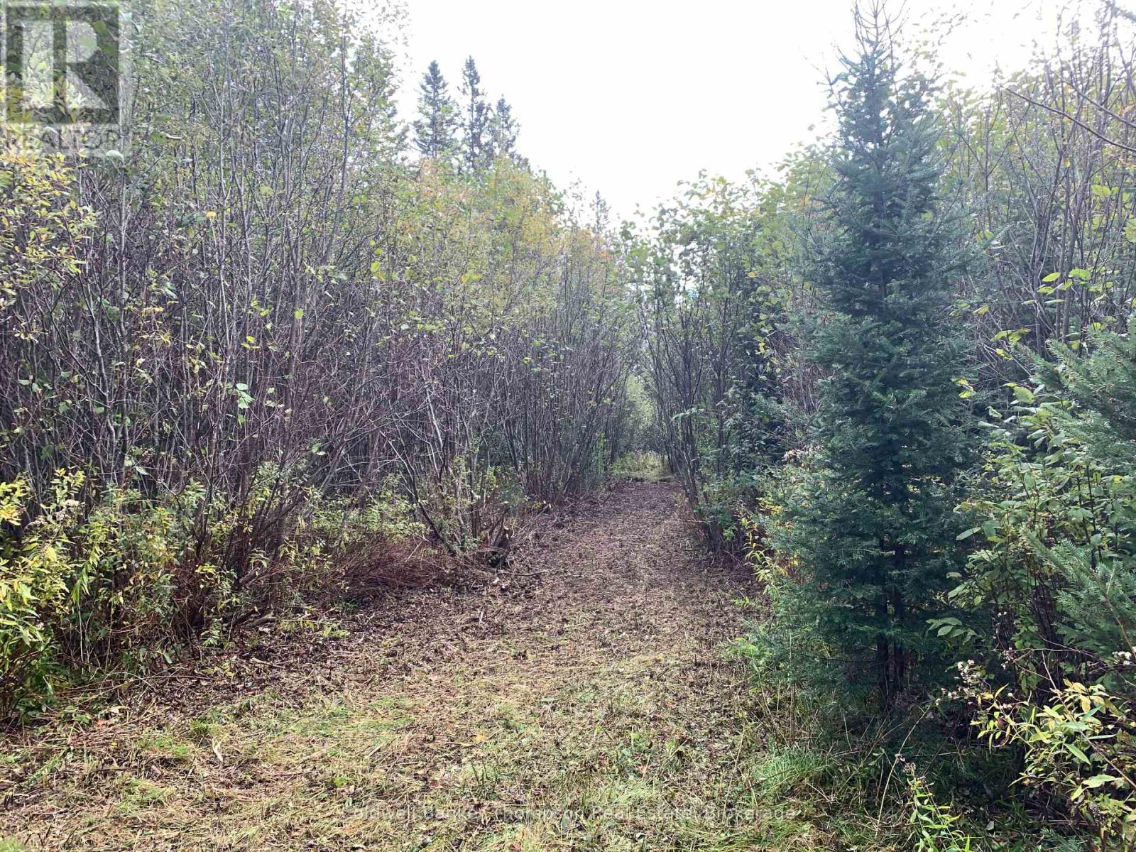 101 Proudfoot Road, Armour, Ontario  P0A 1Z0 - Photo 9 - X12425953