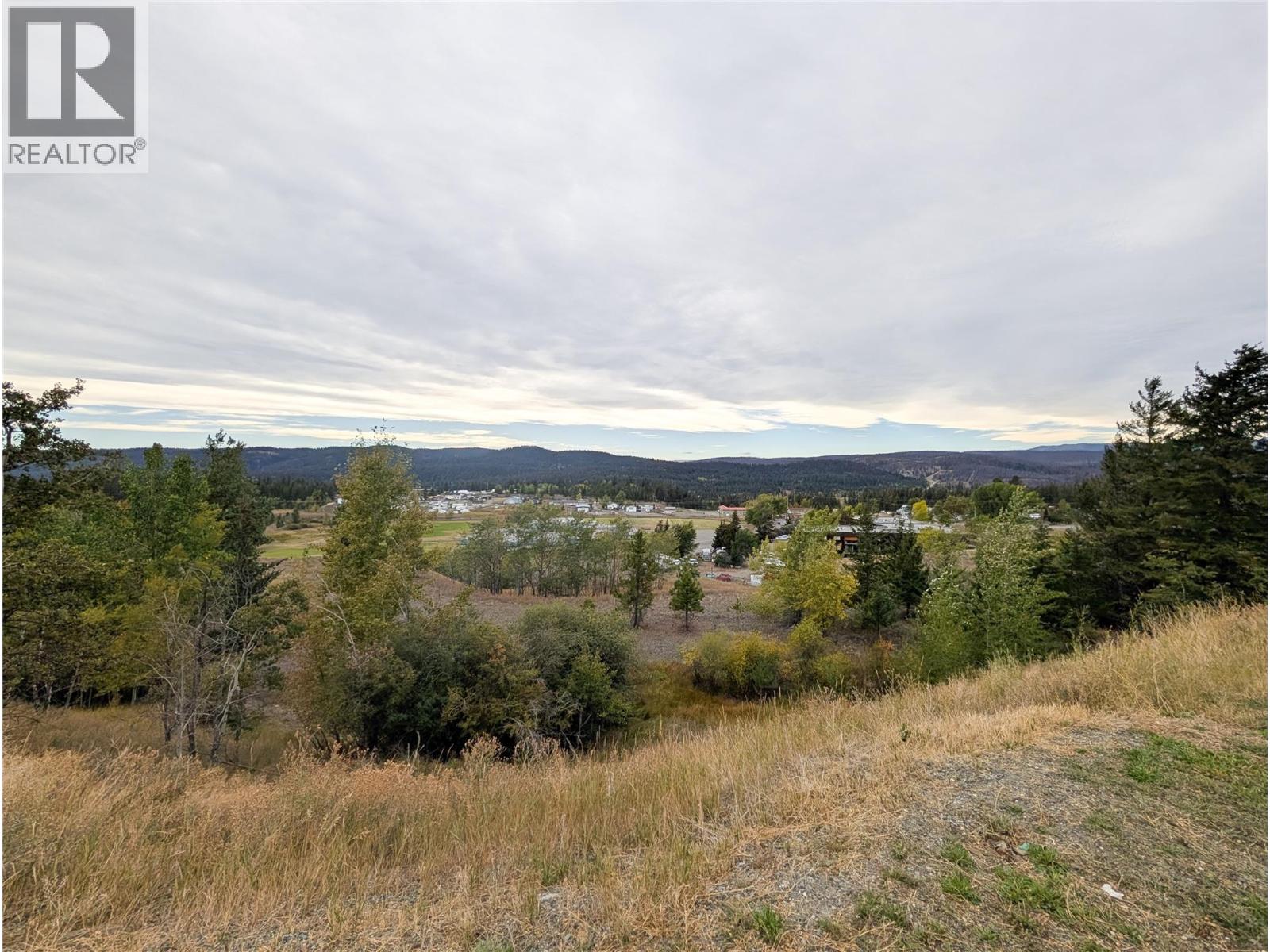 280 Alder Drive Unit# 206, Logan Lake, British Columbia V0K 1W0 - Photo 3 - 10362169