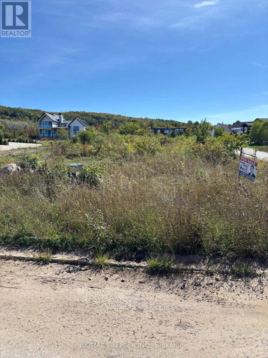 125 Maryward Crescent, Blue Mountains, Ontario  N0H 1J0 - Photo 5 - X12424150
