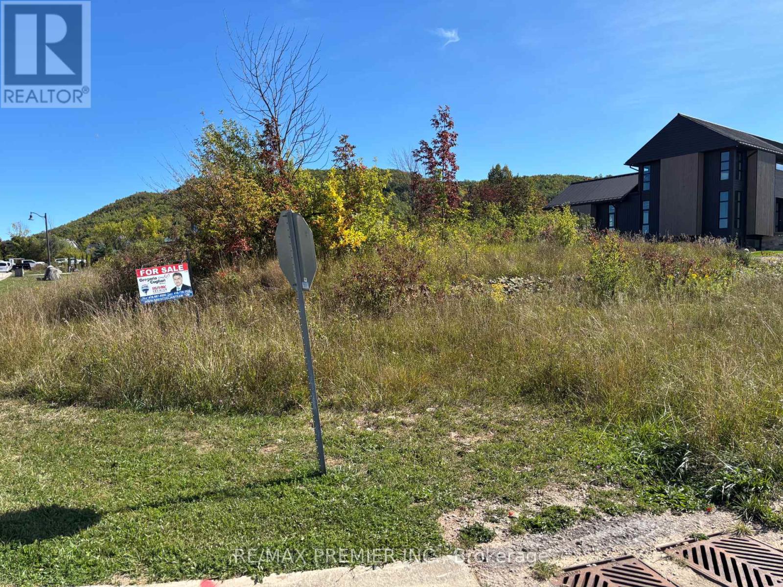 102 Maryward Crescent, Blue Mountains, Ontario  N0H 1J0 - Photo 3 - X12424155