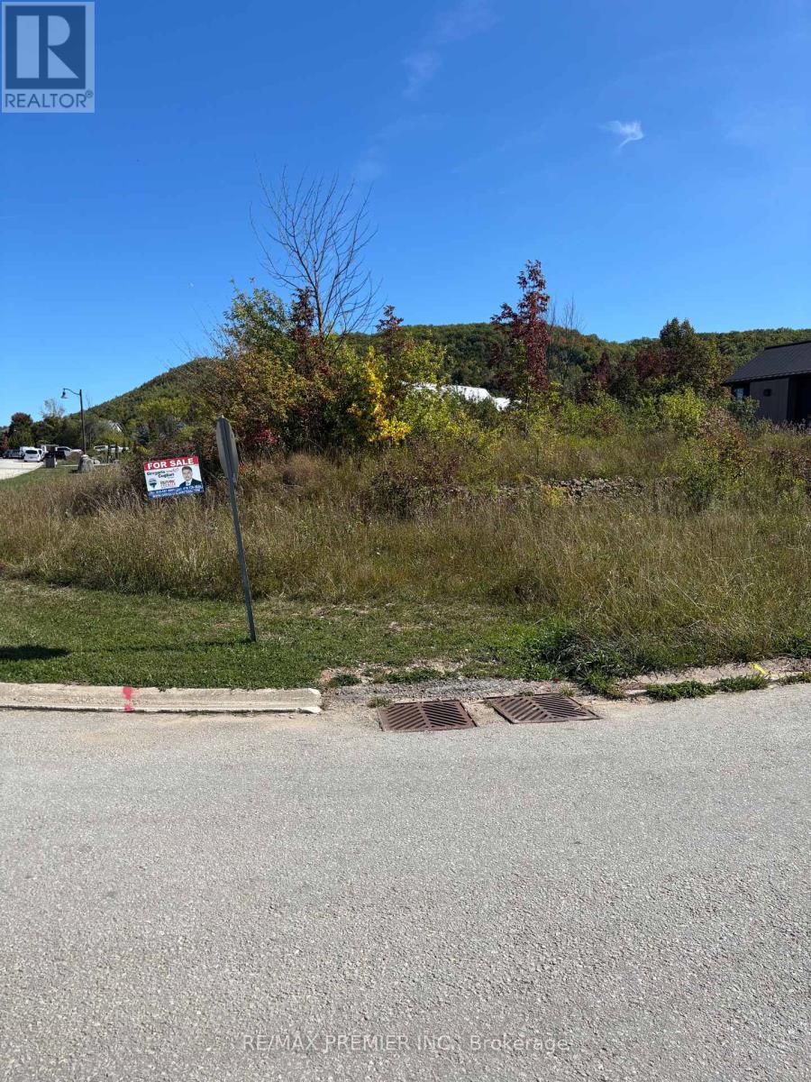 102 Maryward Crescent, Blue Mountains, Ontario  N0H 1J0 - Photo 2 - X12424155