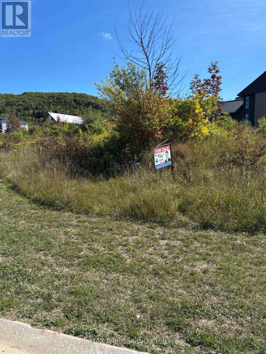 125 Maryward Crescent, Blue Mountains, Ontario  N0H 1J0 - Photo 7 - X12424150