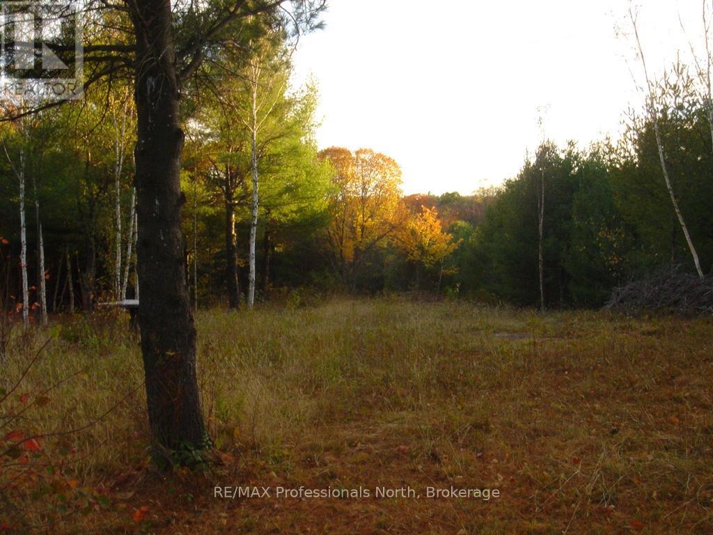 Lot 9 & 10 Concession 5, Lake Of Bays, Ontario  P0B 1A0 - Photo 11 - X12421805