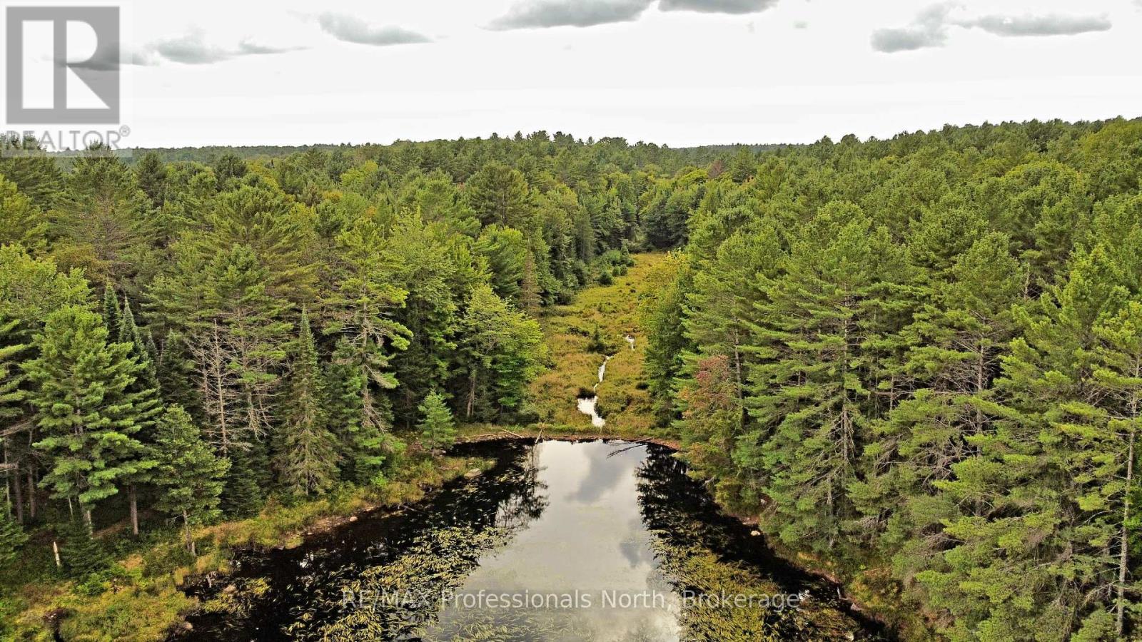 Lot 9 & 10 Concession 5, Lake Of Bays, Ontario  P0B 1A0 - Photo 17 - X12421805