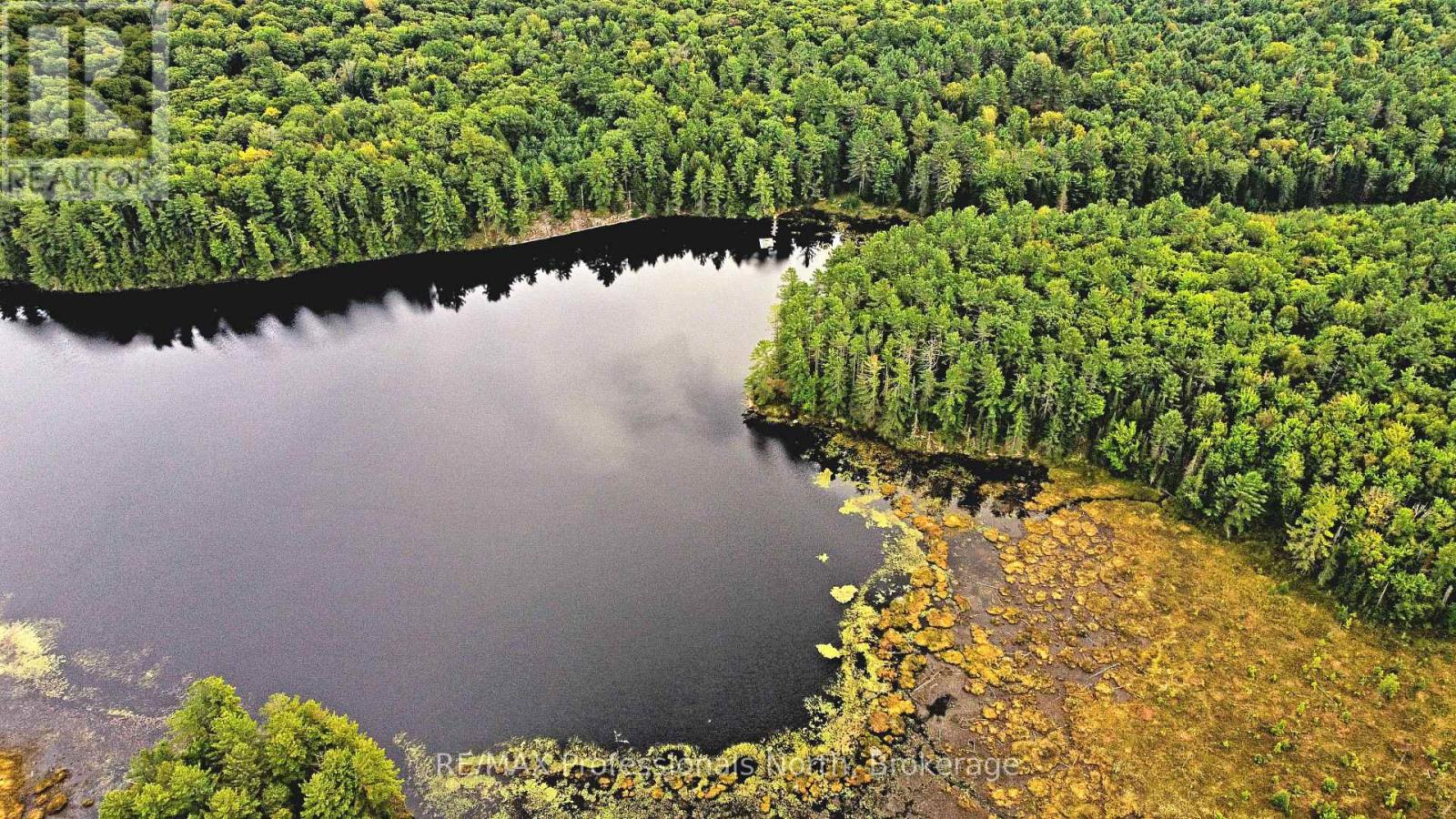 Lot 9 & 10 Concession 5, Lake Of Bays, Ontario  P0B 1A0 - Photo 22 - X12421805