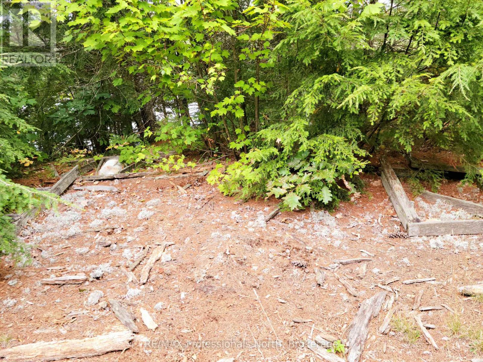 Lot 9 & 10 Concession 5, Lake Of Bays, Ontario  P0B 1A0 - Photo 34 - X12421805