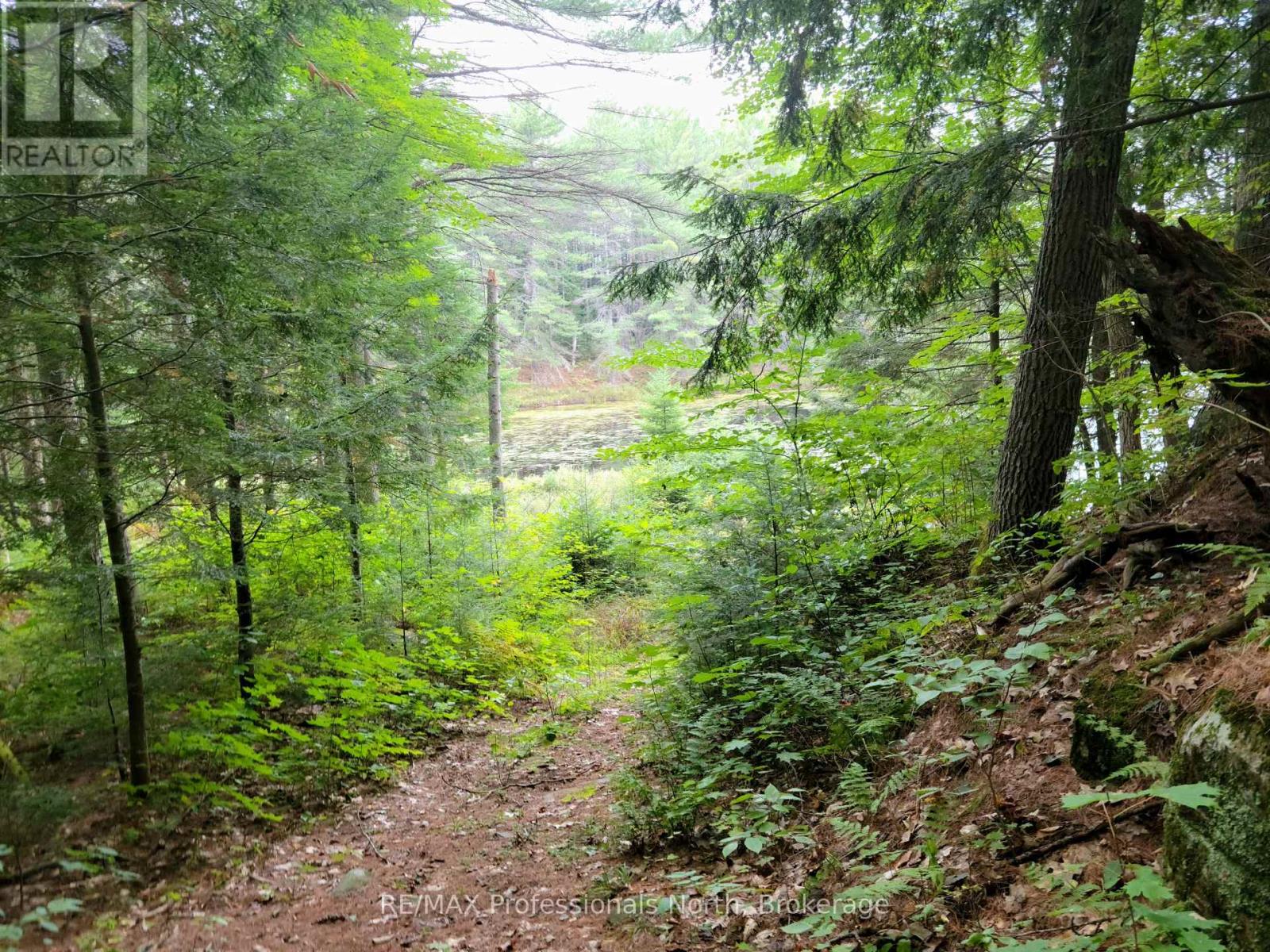 Lot 9 & 10 Concession 5, Lake Of Bays, Ontario  P0B 1A0 - Photo 8 - X12421805