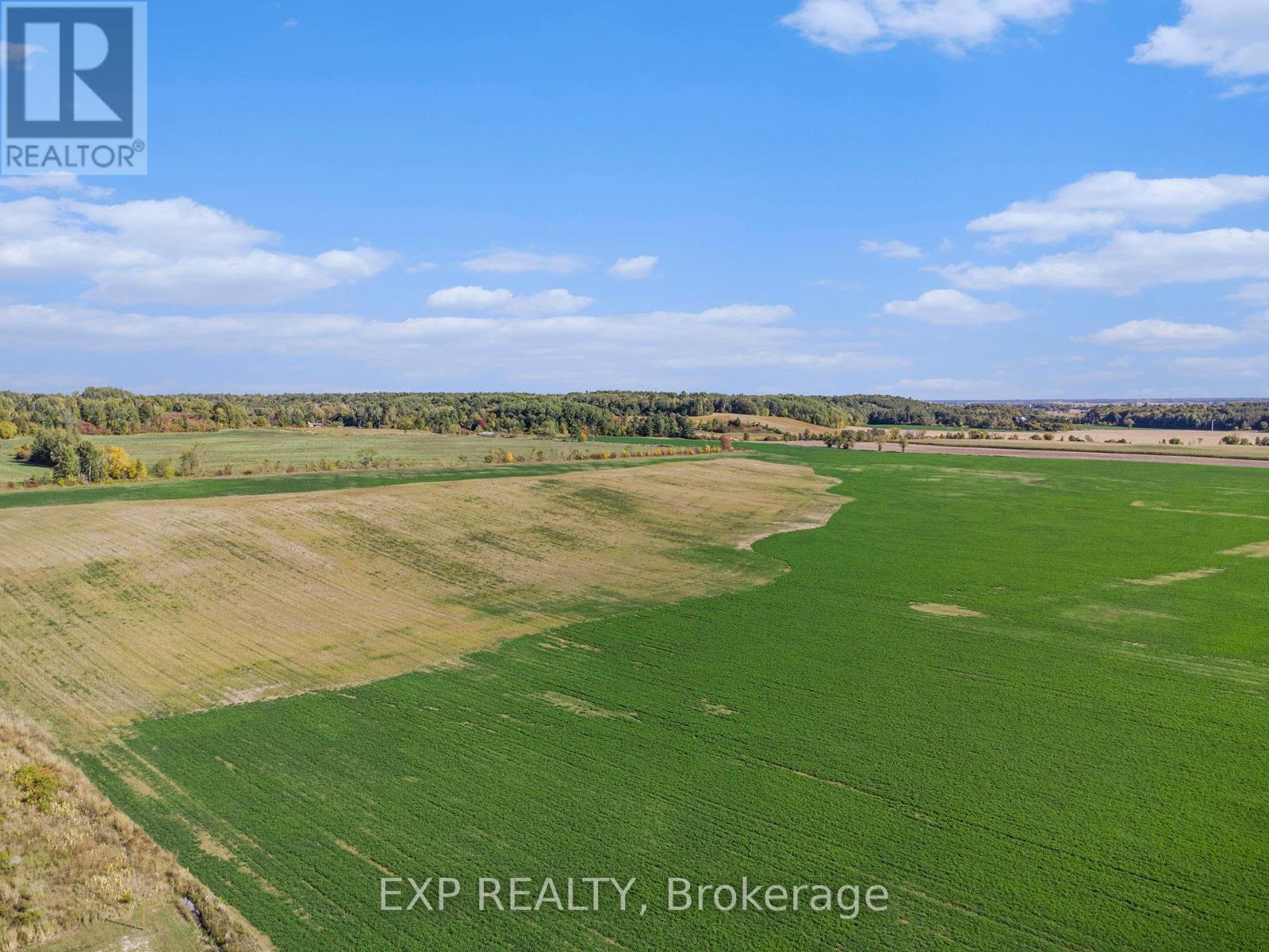 1919 Clark Road, Clarence-Rockland, Ontario  K4K 1K7 - Photo 6 - X12426238