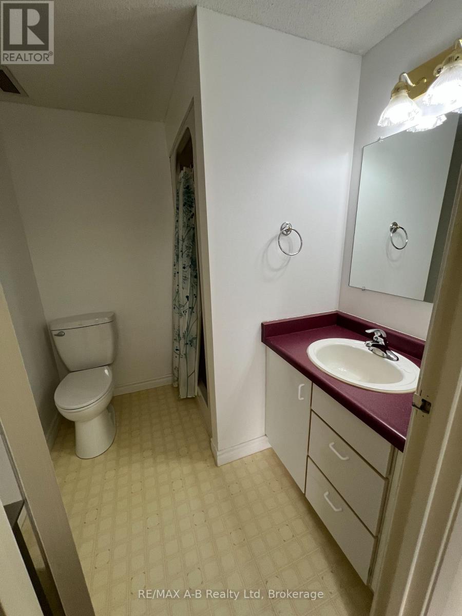 305 - 199 Hope Street East Street E, East Zorra-Tavistock, Ontario  N0B 2R0 - Photo 13 - X12383975