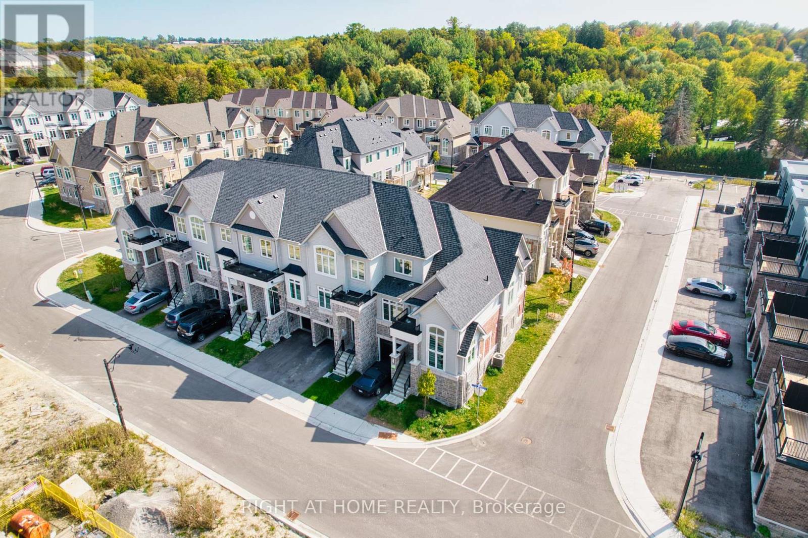 21 Lyall Stokes Circle, East Gwillimbury, Ontario  L0G 1M0 - Photo 4 - N12425282