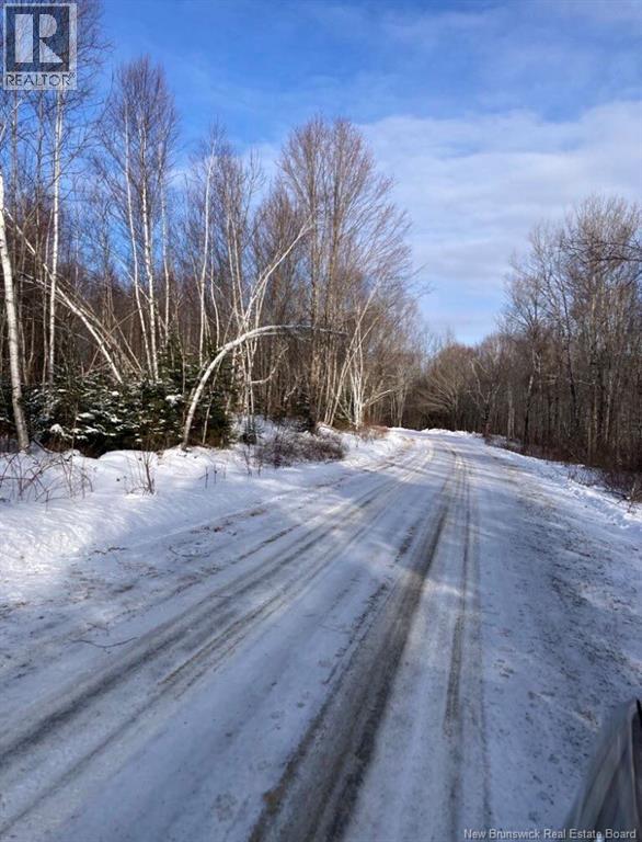 0 Tobin Rd., Elmwood, New Brunswick  E7N 2C5 - Photo 8 - NB111149