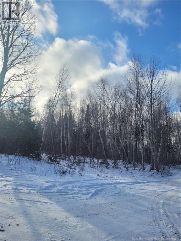 0 Tobin Rd., Elmwood, New Brunswick  E7N 2C5 - Photo 4 - NB111149