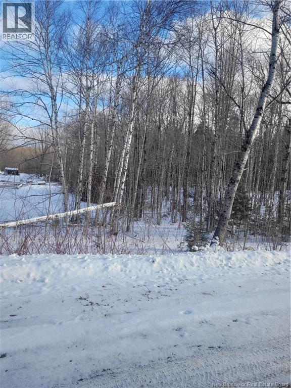 0 Tobin Rd., Elmwood, New Brunswick  E7N 2C5 - Photo 6 - NB111149