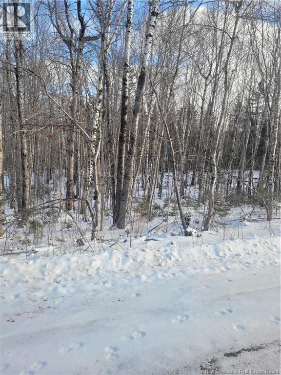 0 Tobin Rd., Elmwood, New Brunswick  E7N 2C5 - Photo 5 - NB111149