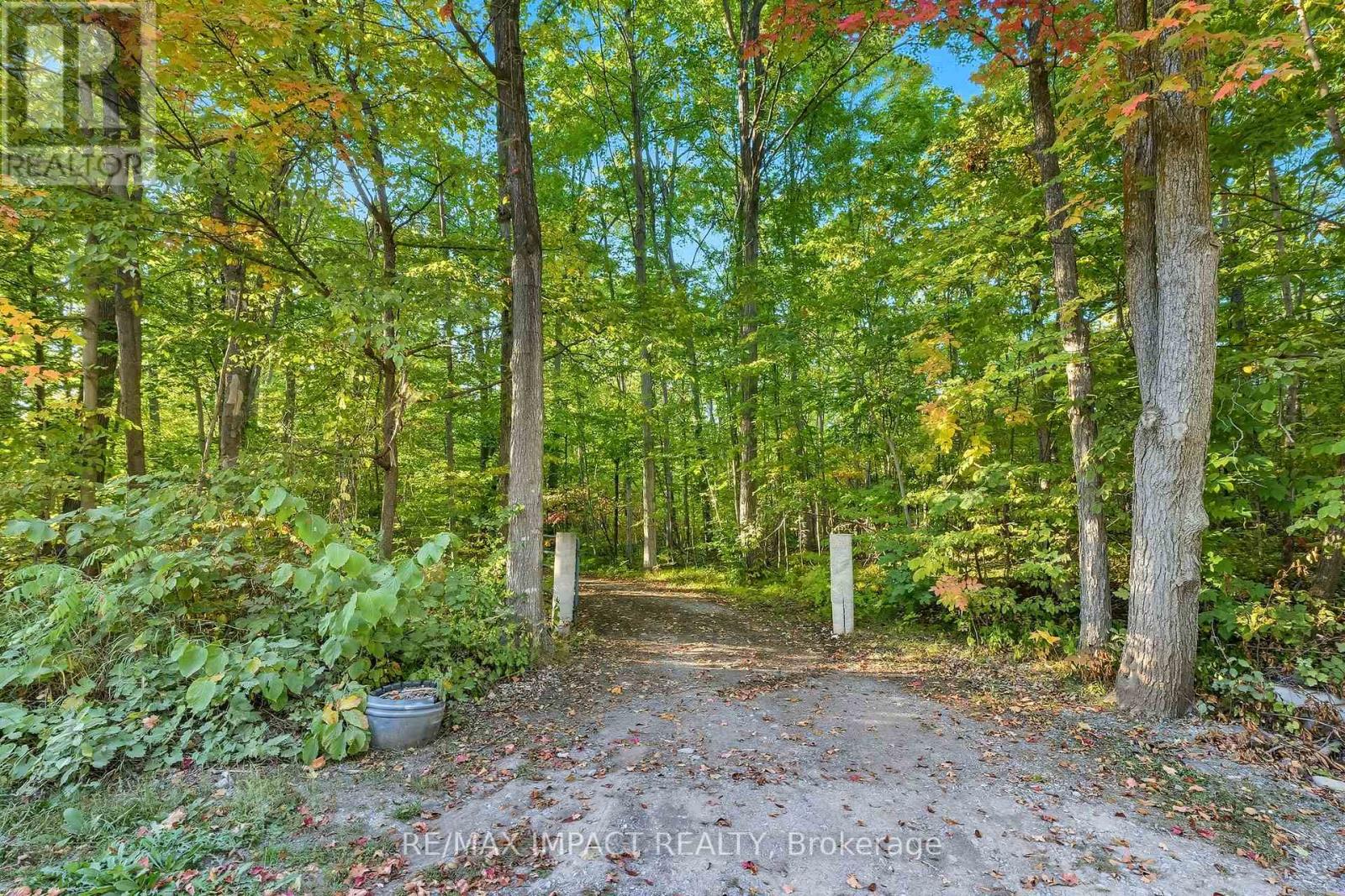 1530 10 Line W, Trent Hills, Ontario  K0L 1L0 - Photo 4 - X12426152