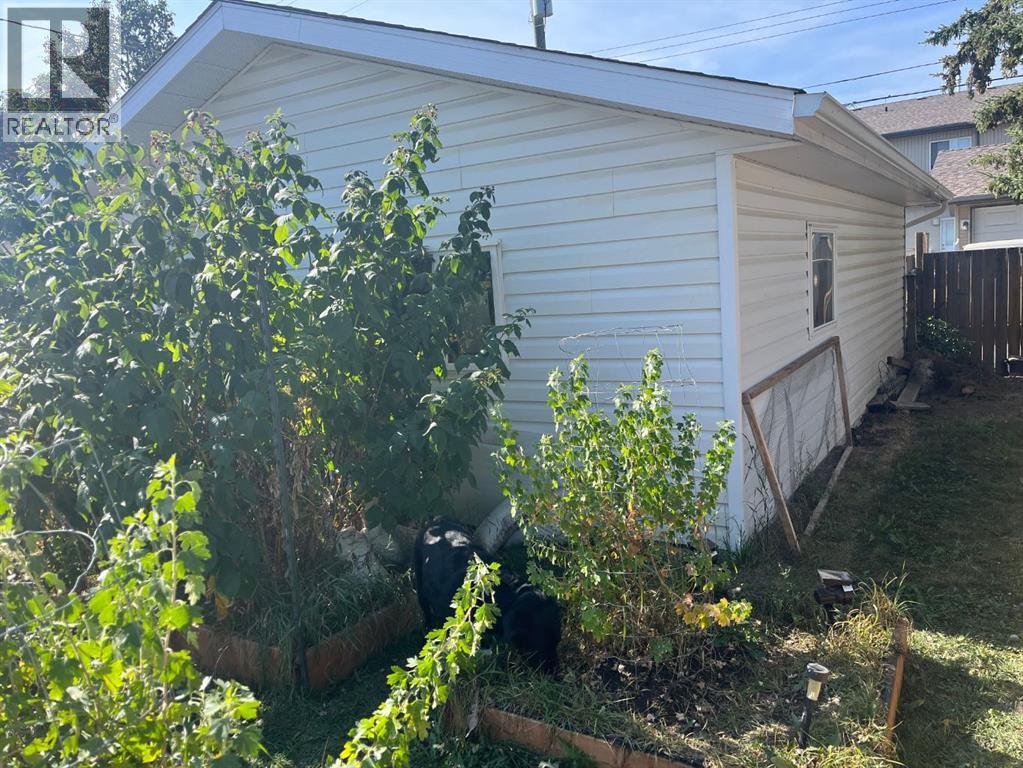 5012 53 Street, Rocky Mountain House, Alberta  T4T 1E7 - Photo 12 - A2258371