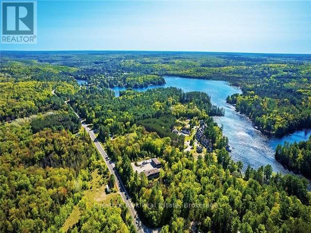 1020 Birch Glen Road, Lake Of Bays, Ontario  P0B 1A0 - Photo 7 - X12426581