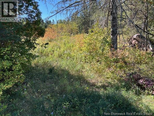 0 885 Route, Kinnear Settlement, New Brunswick  E4Z 5A1 - Photo 15 - NB127323