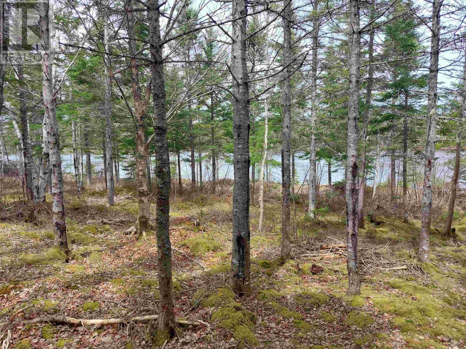 Lot 14 Jonathan R Bouman Lane, Evanston, Nova Scotia  B0E 1J0 - Photo 11 - 202506856