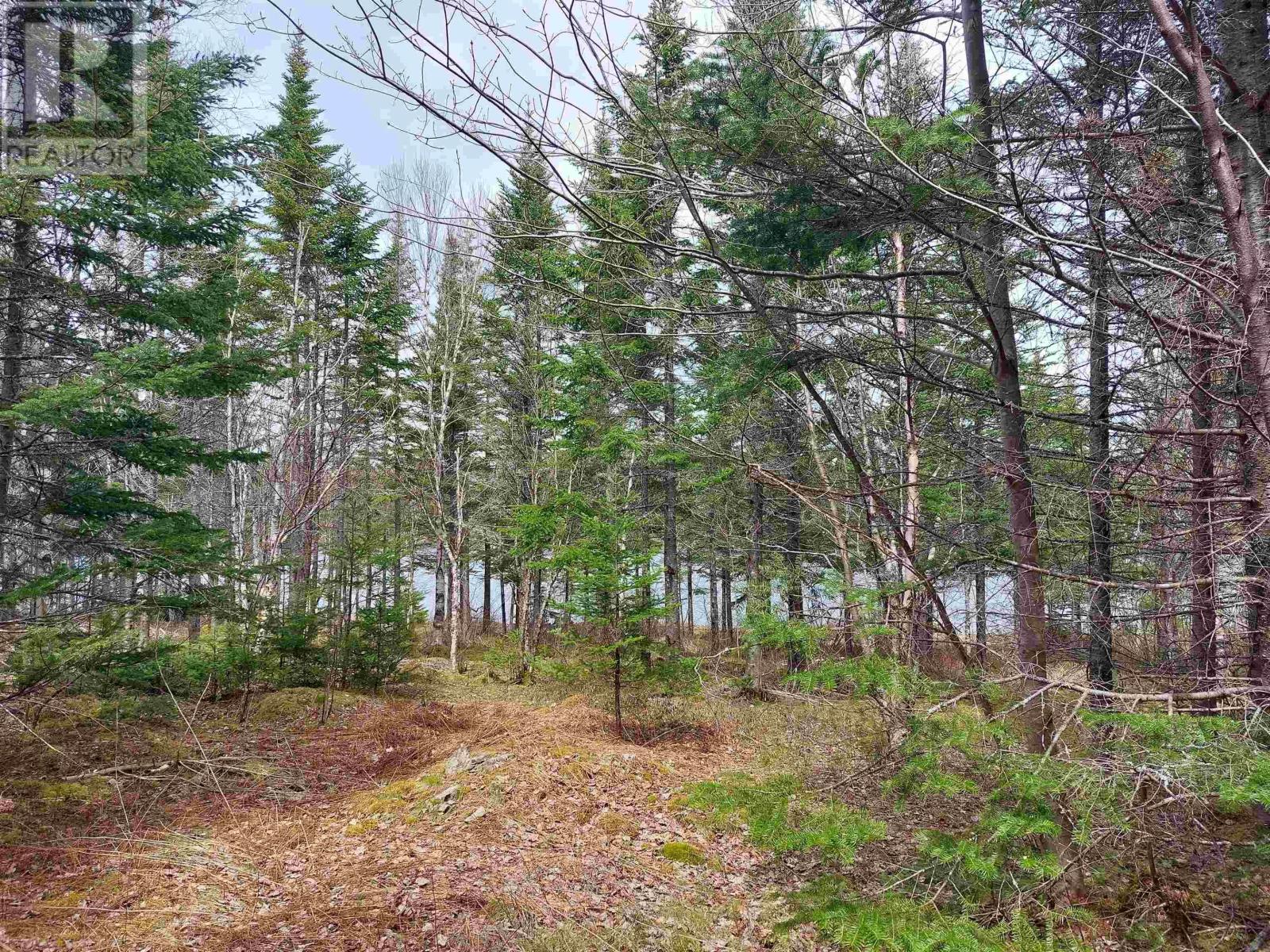 Lot 14 Jonathan R Bouman Lane, Evanston, Nova Scotia  B0E 1J0 - Photo 12 - 202506856