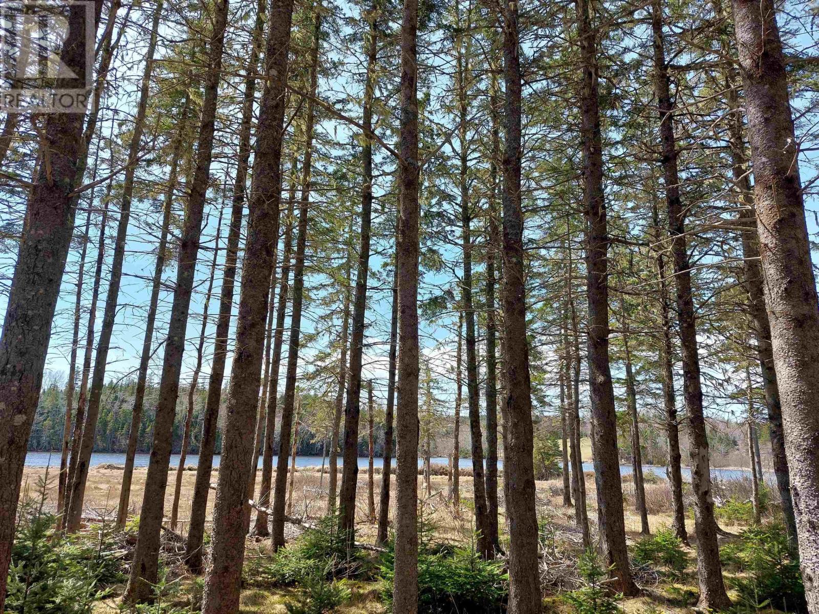 Lot 21a Jonathan R Bouman Ln, Evanston, Nova Scotia  B0E 1J0 - Photo 26 - 202505806