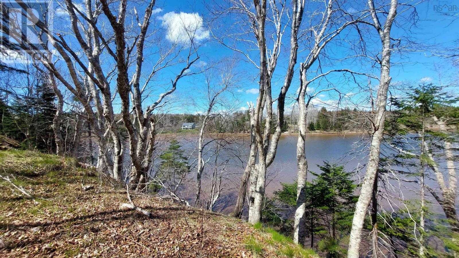 Lot 21a Jonathan R Bouman Ln, Evanston, Nova Scotia  B0E 1J0 - Photo 7 - 202505806