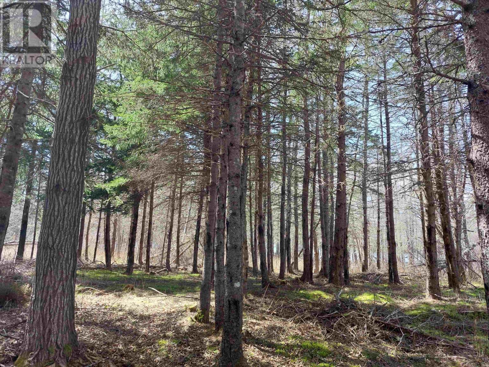 Lot 21a Jonathan R Bouman Ln, Evanston, Nova Scotia  B0E 1J0 - Photo 8 - 202505806