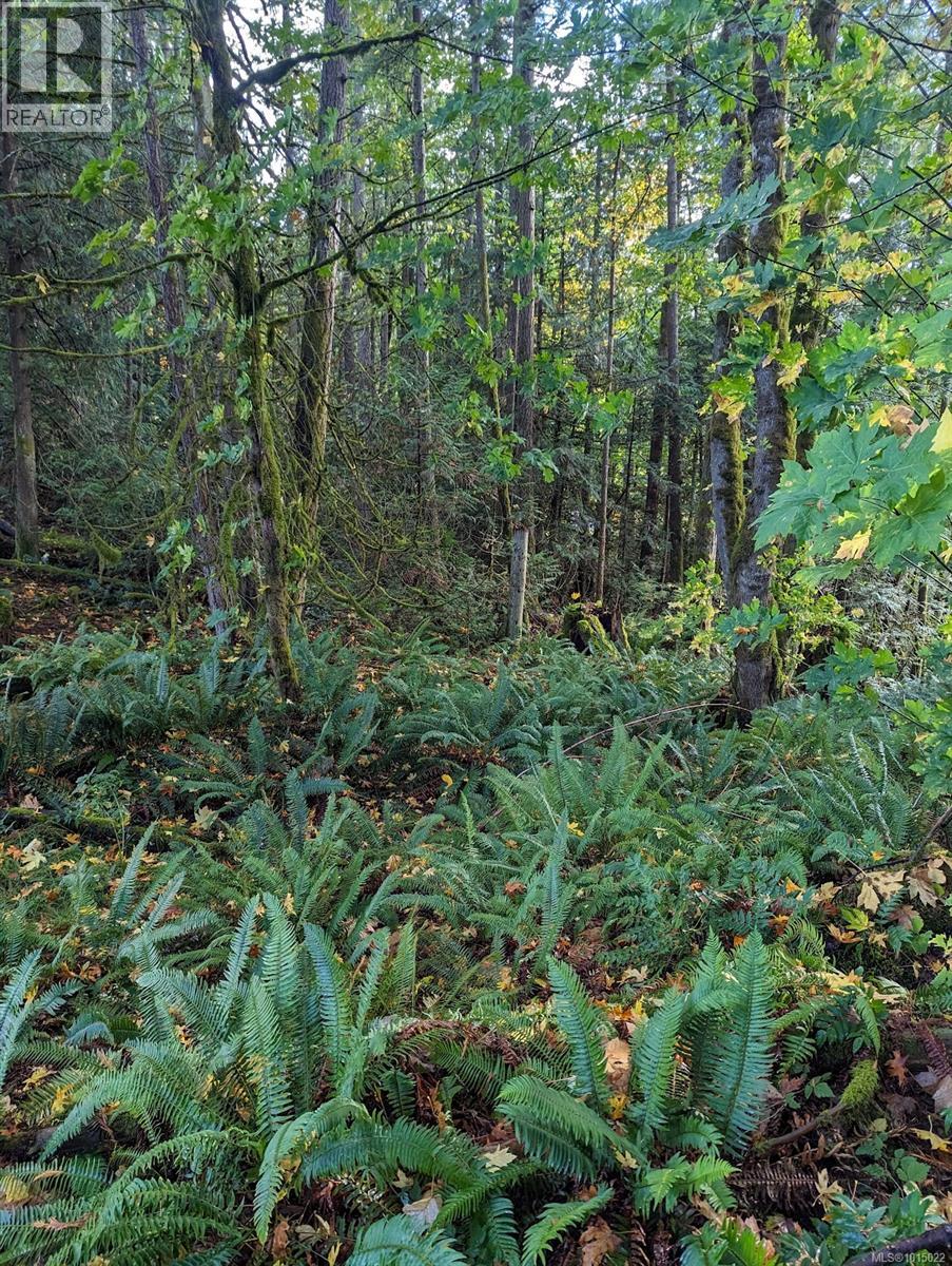 Lot F Craven Cres, Mill Bay, British Columbia  V0R 2P2 - Photo 7 - 1015022