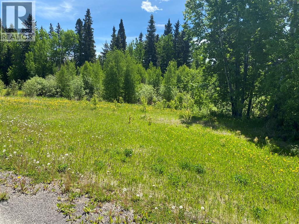 9, 15015 Township Road 424 Township, Rural Ponoka County, Alberta  T0B 0H0 - Photo 8 - A2088514