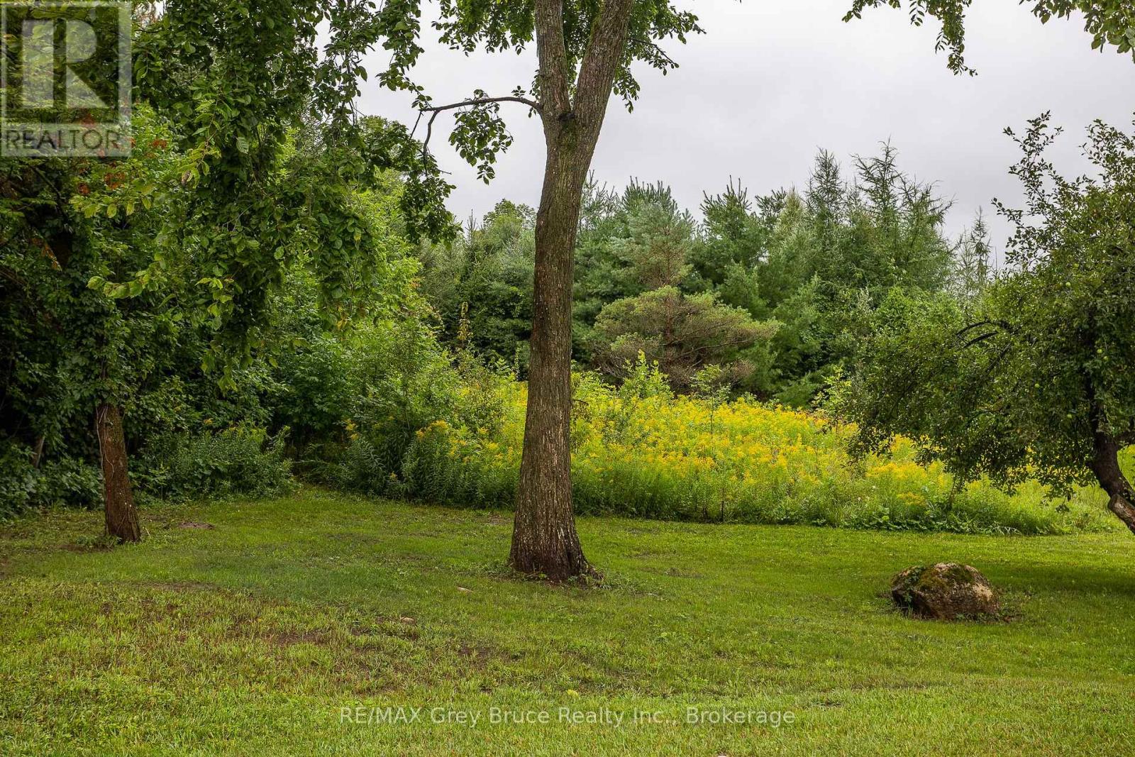 101530 Side Road 9, Georgian Bluffs, Ontario  N0H 2N0 - Photo 14 - X12426768