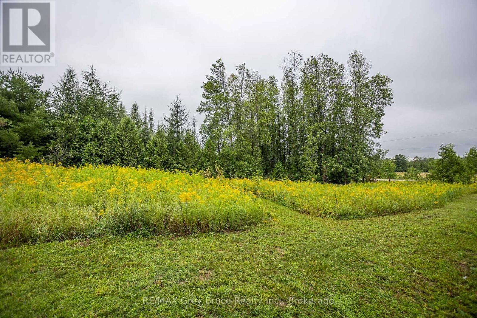101530 Side Road 9, Georgian Bluffs, Ontario  N0H 2N0 - Photo 15 - X12426768