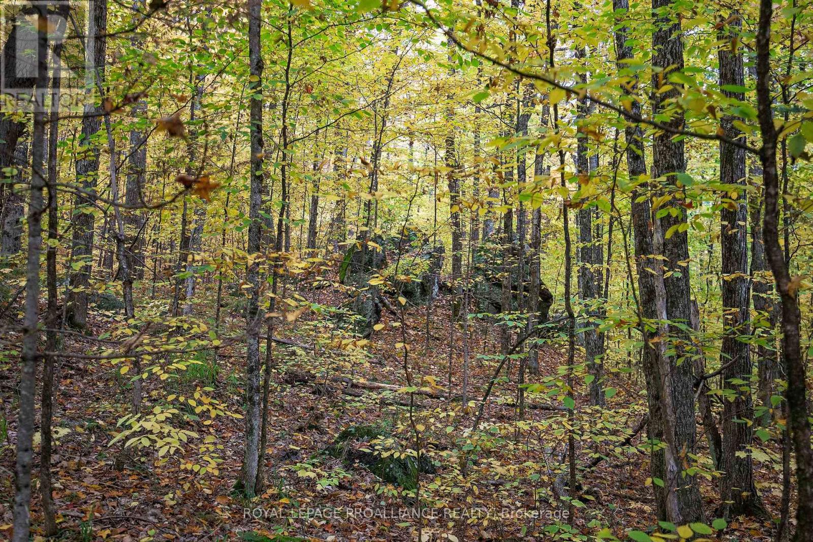 112 Little Finch Lake Road, Addington Highlands, Ontario  K0H 1L0 - Photo 14 - X12426788