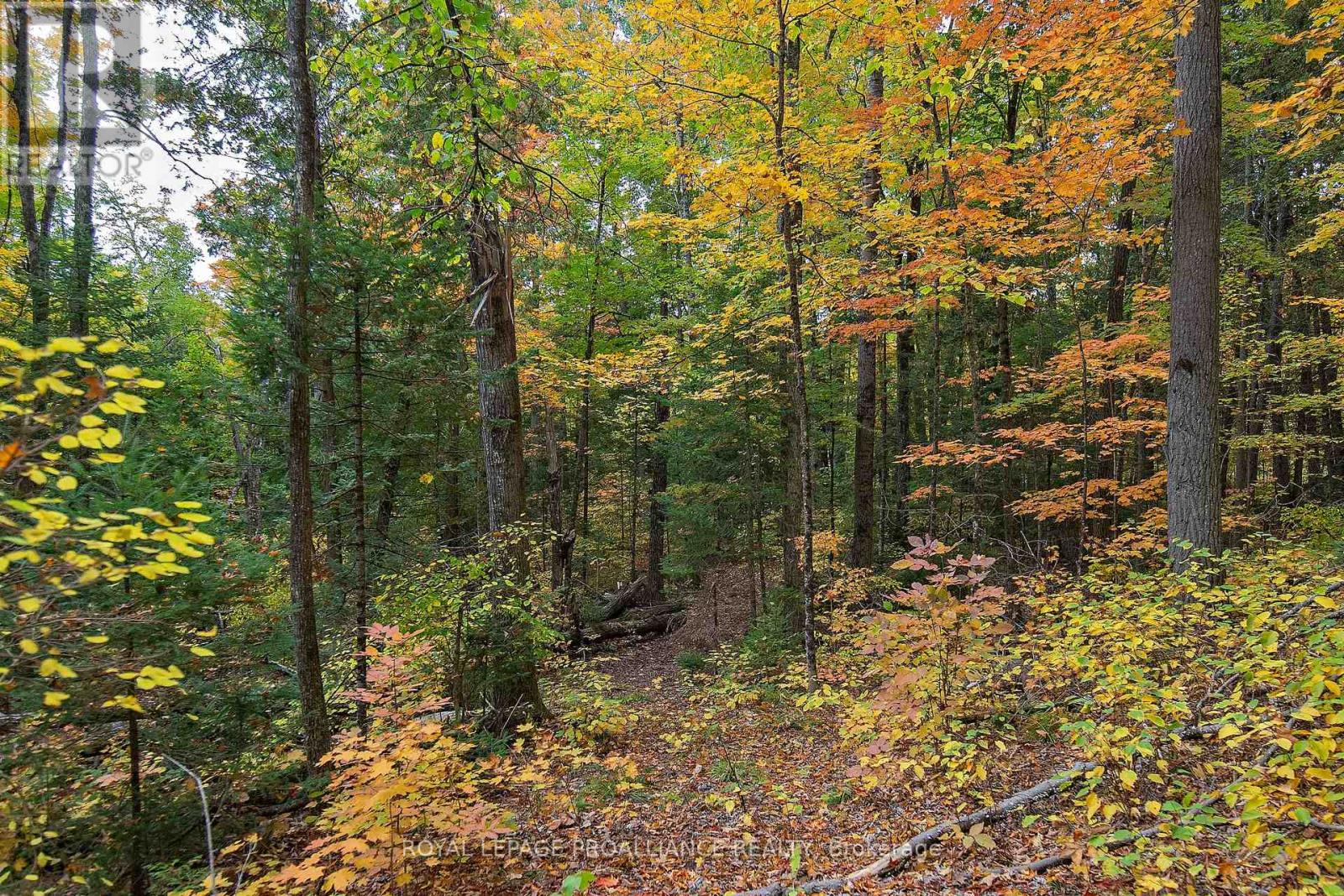 112 Little Finch Lake Road, Addington Highlands, Ontario  K0H 1L0 - Photo 16 - X12426788