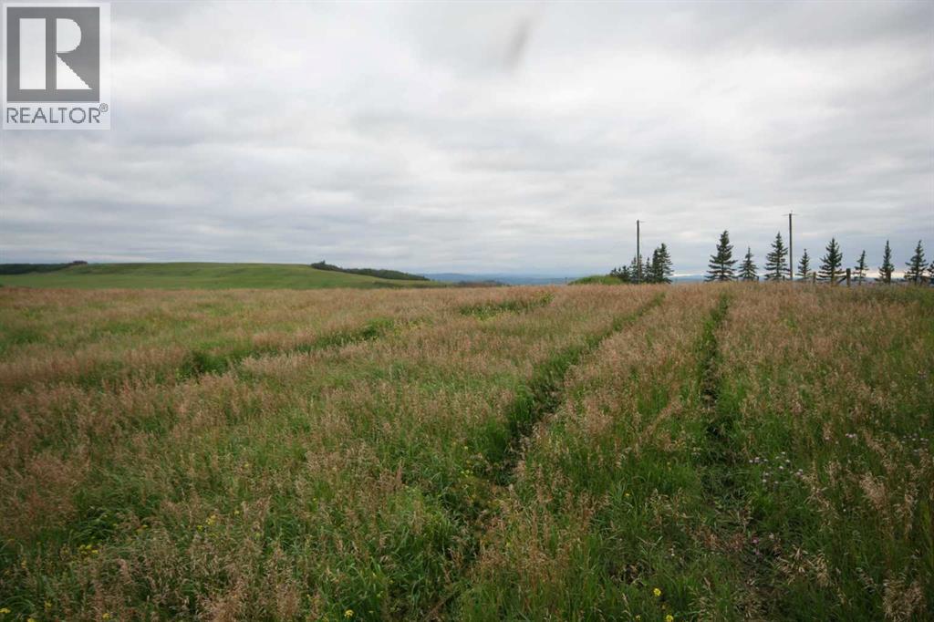402 Avenue W, Rural Foothills County, Alberta  T1S 2E4 - Photo 18 - A2248865