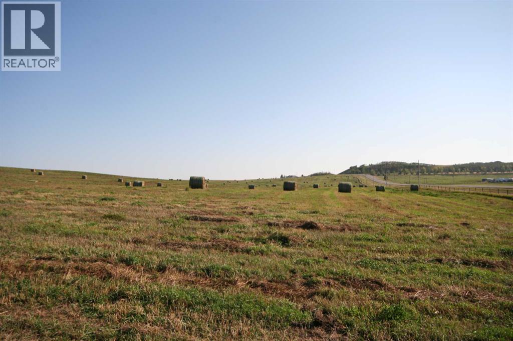402 Avenue W, Rural Foothills County, Alberta  T1S 2E4 - Photo 29 - A2248865