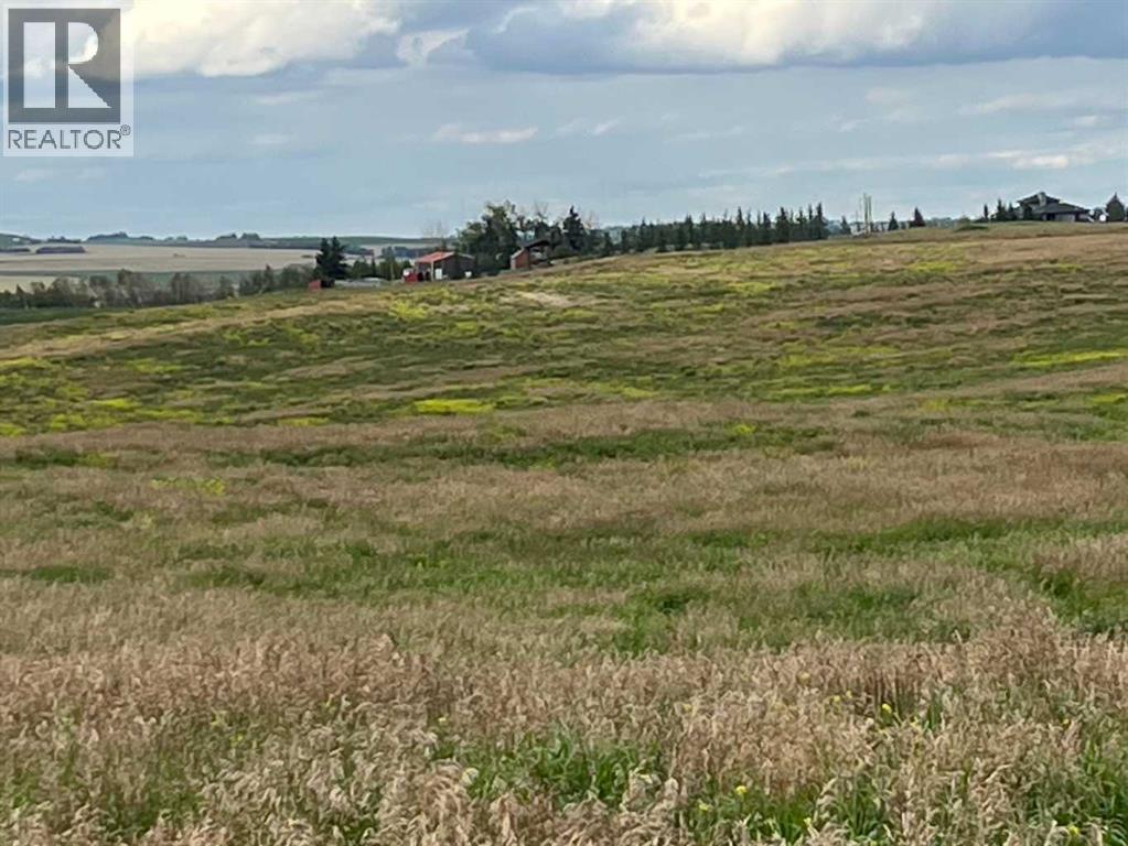 402 Avenue W, Rural Foothills County, Alberta  T1S 2E4 - Photo 6 - A2248865