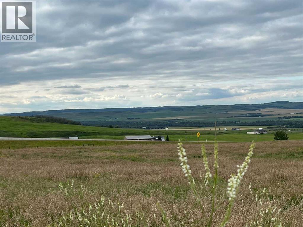 402 Avenue W, Rural Foothills County, Alberta  T1S 2E4 - Photo 8 - A2248865