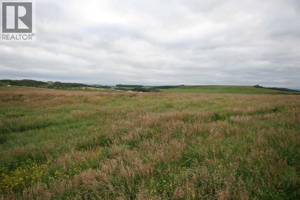 402 Avenue W, Rural Foothills County, Alberta  T1S 2E4 - Photo 17 - A2248865