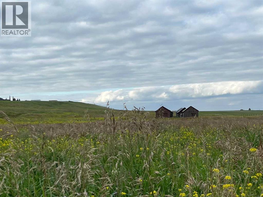 402 Avenue W, Rural Foothills County, Alberta  T1S 2E4 - Photo 4 - A2248865