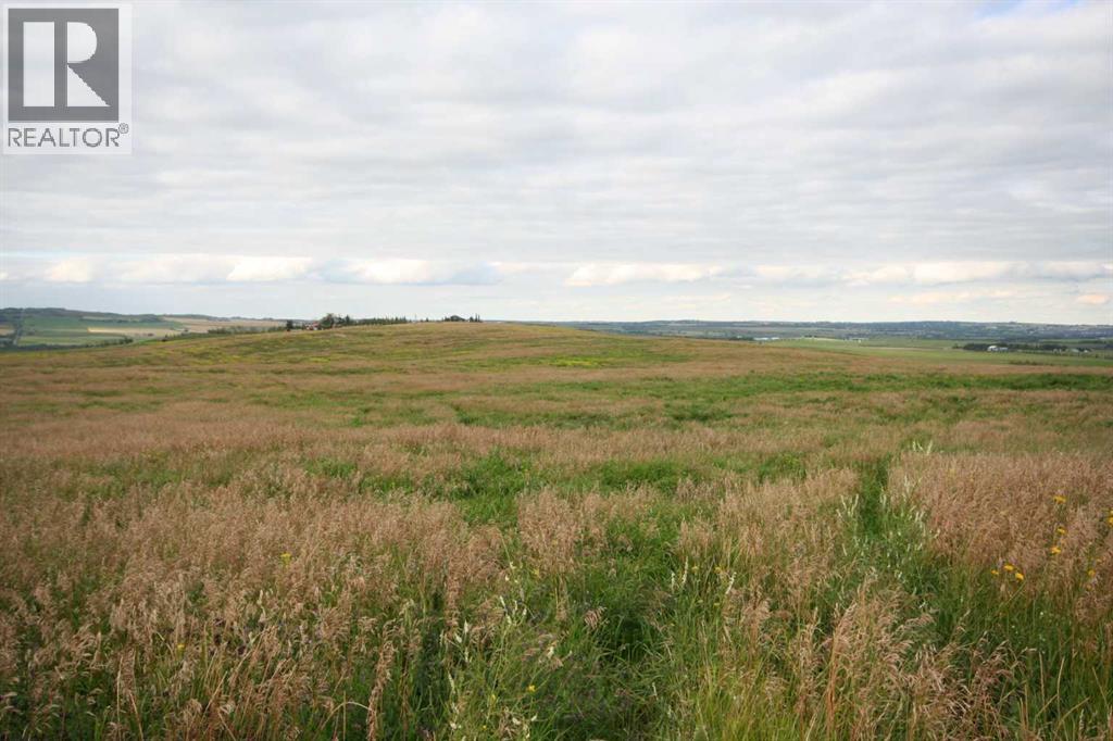 402 Avenue W, Rural Foothills County, Alberta  T1S 2E4 - Photo 10 - A2248865