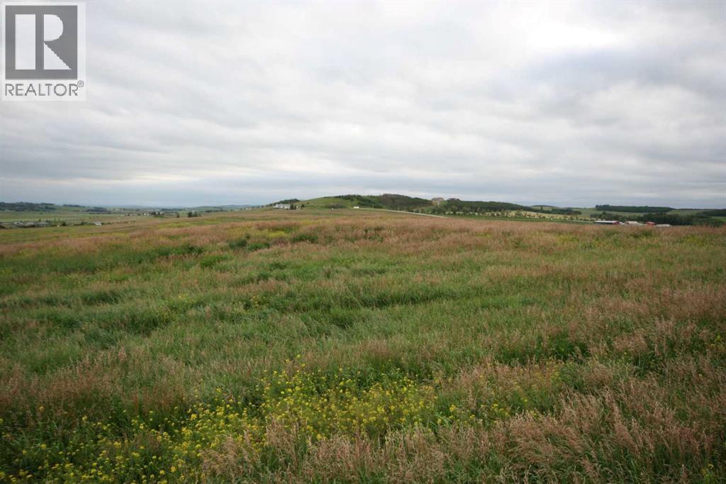 402 Avenue W, Rural Foothills County, Alberta  T1S 2E4 - Photo 16 - A2248865